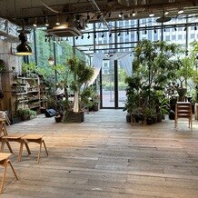 ＭＥＤＩ（メディー）の画像