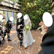 ＭＥＤＩ（メディー）の写真｜外のグリーンウォール(バブルガンとリーフシャワー)