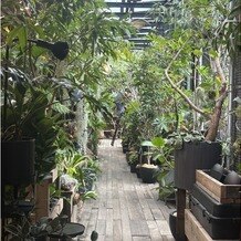 ＭＥＤＩ（メディー）の写真｜入退場通り道