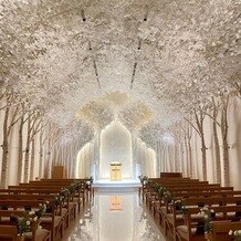 トリフォーリア ＮＡＧＯＹＡの画像