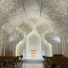 トリフォーリア ＮＡＧＯＹＡの画像