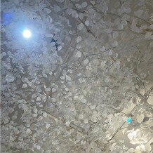 トリフォーリア ＮＡＧＯＹＡの画像｜三葉が隠れているようです。中には一つだけ四葉があるとのことです。