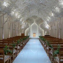 トリフォーリア ＮＡＧＯＹＡの画像
