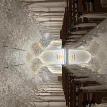 トリフォーリア ＮＡＧＯＹＡの画像
