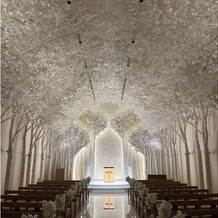 トリフォーリア ＮＡＧＯＹＡの写真｜挙式会場｜2025-10-13 12:28:18.0aさん投稿