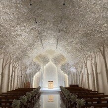 トリフォーリア ＮＡＧＯＹＡの画像