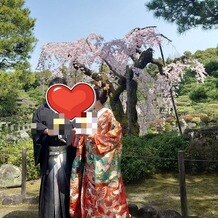 平安神宮会館の写真｜会場からもみえるこの枝垂れ桜のおかげで桜の咲く平安神宮での結婚式という夢を叶えてもらいました
