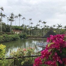 東南植物楽園の写真｜披露宴・パーティー会場｜2021-05-20 15:19:00.0NANAさん投稿