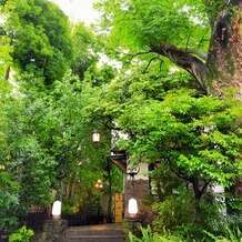 旧石丸邸　ガーデンテラス広尾　（Garden Terrace HIROO residence ISHIMARU）の画像