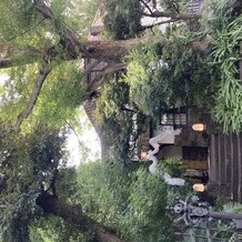 旧石丸邸　ガーデンテラス広尾　（Garden Terrace HIROO residence ISHIMARU）の画像