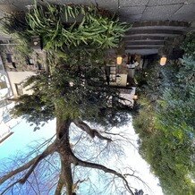 旧石丸邸　ガーデンテラス広尾　（Garden Terrace HIROO residence ISHIMARU）の画像