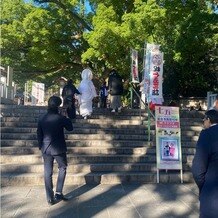 大麻比古神社の写真｜御神木