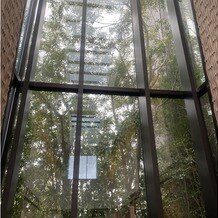 キンプトン新宿東京の写真｜式場前部の緑