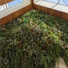 ＷＥＥＫＥＮＤ　ＨＯＵＳＥ  （ウィークエンドハウス）の写真｜挙式会場｜2025-05-03 16:06:48.0もったりあまがえるさん投稿