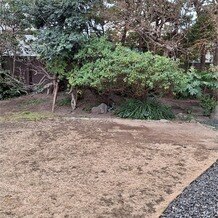 ＭＡＹＡの画像