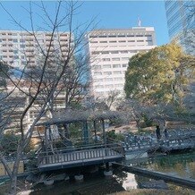 東郷神社・ルアール東郷の写真｜庭