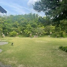高宮庭園茶寮の写真｜綺麗に整備された芝生です。