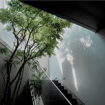 Ｌ２１２６の画像
