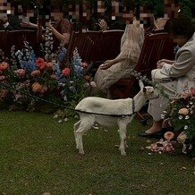 三井港倶楽部の写真｜挙式会場｜2025-07-07 20:51:33.0はるさん投稿