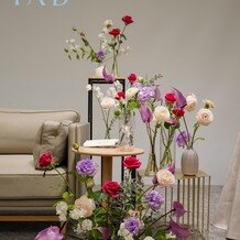 TIAD, オートグラフ コレクション（ティアド オートグラフ コレクション）の画像