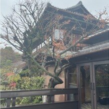 【少人数】ＴＥＲＲＡＣＥ　ａｔ　ＴＨＥ　ＧＡＲＤＥＮ　ＰＬＡＣＥ　蘇州園の画像