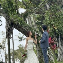 皿の上の自然（SALLY WEDDING DESIGN）の写真｜挙式会場｜2025-05-10 12:45:14.0chackyさん投稿