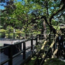 ザ・ガーデンプレイス小林楼の写真｜真夏の青々とした庭園です。挙式は11月だったので紅葉がとても綺麗でした。