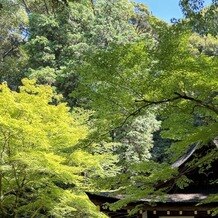 上賀茂神社 京都の写真｜その他｜2024-07-30 14:16:50.0とーさん投稿