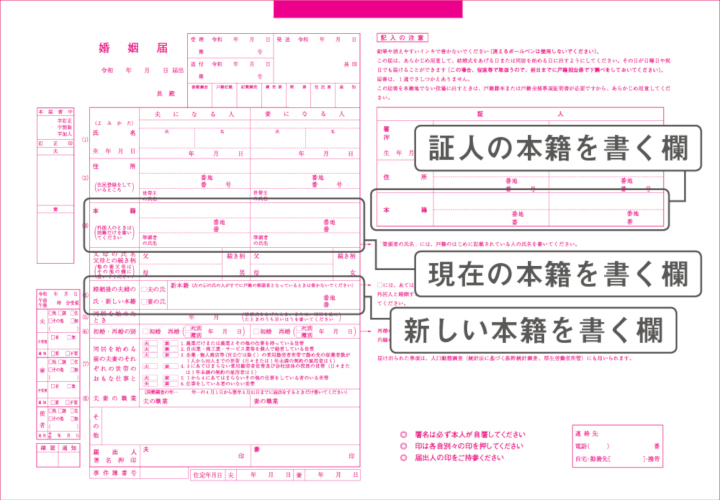 婚姻届の本籍欄