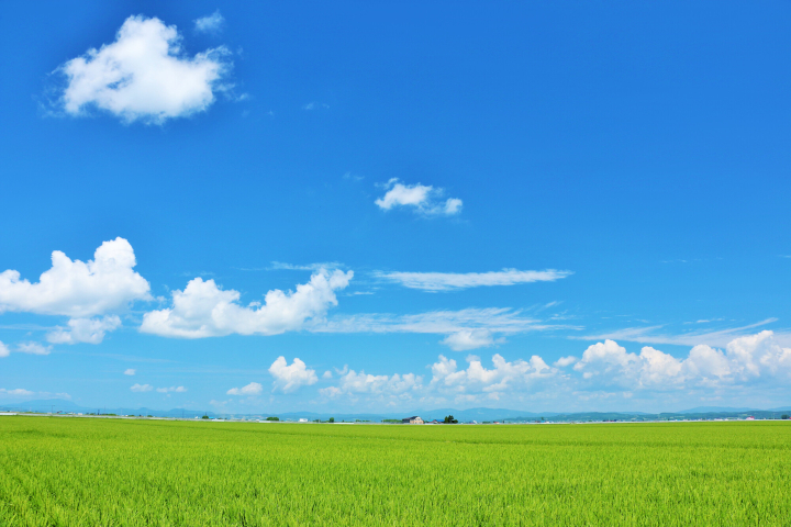 深川