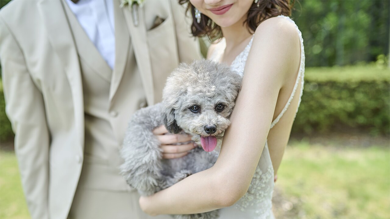 ニーズさいたま新都心 by T&G WEDDING（旧 ガーデンヒルズ迎賓館 大宮）のおすすめスタイルの写真2-3