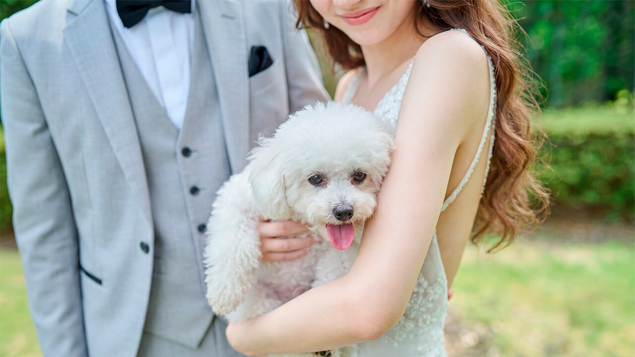 ニーズさいたま新都心 by T&G WEDDING（旧 ガーデンヒルズ迎賓館 大宮）のおすすめスタイルの写真2-3