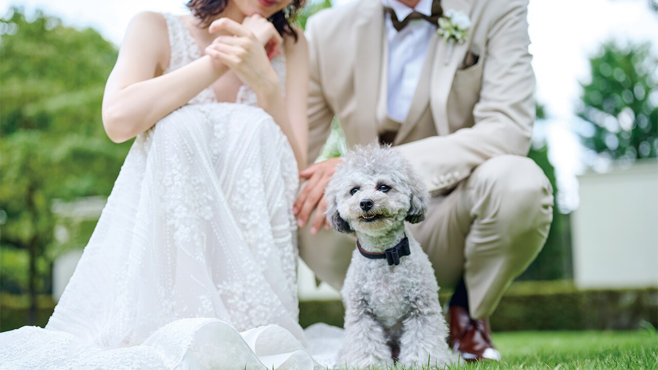 山手迎賓館　横浜のおすすめスタイルの写真4-2