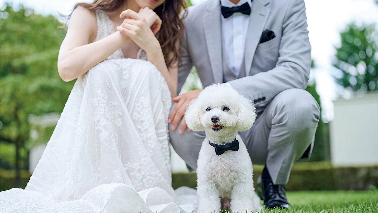 ニーズ横浜元町 by T&G WEDDING (旧 山手迎賓館 横浜)のおすすめスタイルの写真4-2