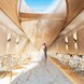 ニーズ白金 by T&amp;G WEDDING (旧 アーフェリーク白金)：26年9月チャペルリニューアル！天高10ｍの光纏う空間へ。大階段付ガーデン×貸切邸宅
