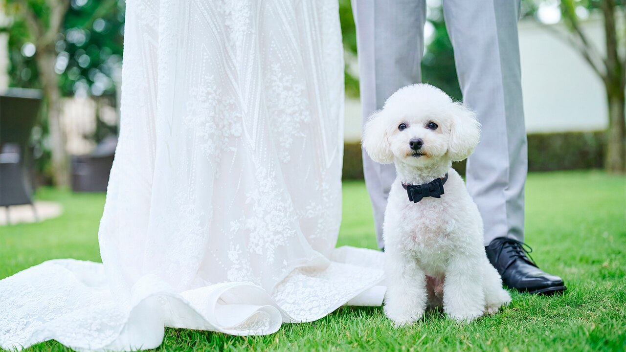 ニーズ麻布 by T&G WEDDING (旧 麻布迎賓館)のおすすめスタイルの写真2-2