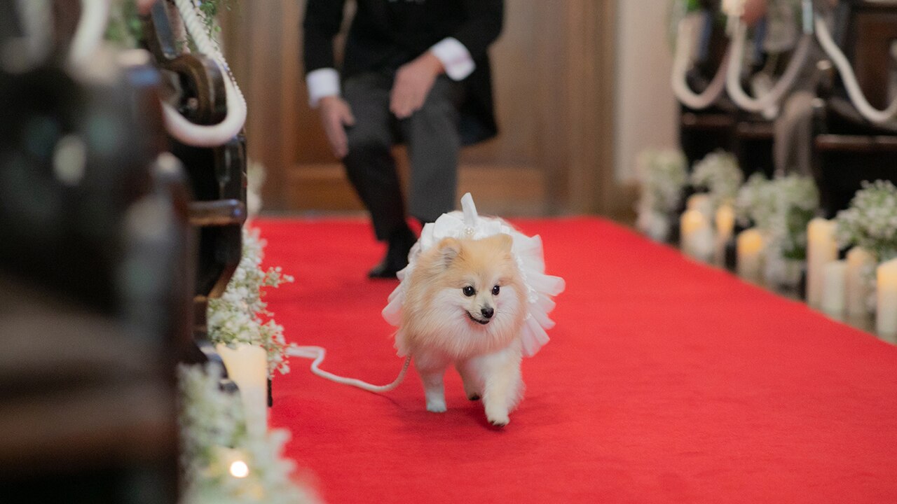 アニバーサリーガーデン　南蔵王・聖ペトロ教会のおすすめスタイルの写真2-3