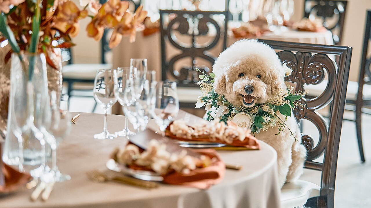 ニーズ札幌 by T&G WEDDING (旧 ヒルサイドクラブ迎賓館 札幌)のおすすめスタイルの写真4-3