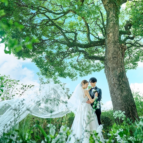 WeGreen RESORTの写真