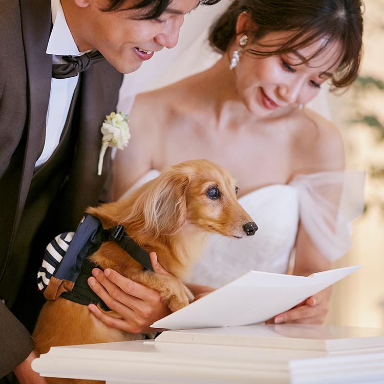 二条城チャペル セント・アベニールで理想の結婚式【ゼクシィ】