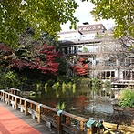 東郷神社／東郷記念館：こだわっていた神前式をしっかり見てもらえる空間が魅力。美しい日本庭園で和装の写真を残したいと思った