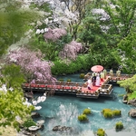 東郷神社／東郷記念館：全館リニューアル。原宿駅から徒歩3分、四季が移ろう1万坪の日本庭園を「一組貸切」に