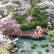 東郷神社／東郷記念館：全館リニューアル。原宿駅から徒歩3分、四季が移ろう1万坪の日本庭園を「一組貸切」に