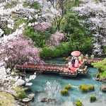 東郷神社／東郷記念館：全館リニューアル。原宿駅から徒歩3分、四季が移ろう1万坪の日本庭園を「一組貸切」に