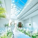 Art Bell Ange SAKAI（アールベルアンジェ堺）：選べる2フロアの貸切邸宅！緑×自然光溢れる開放的な空間で楽しむウエディング