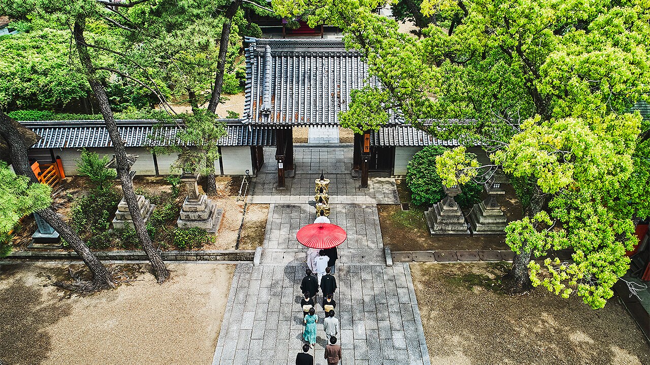 住吉大社のおすすめポイントの写真1