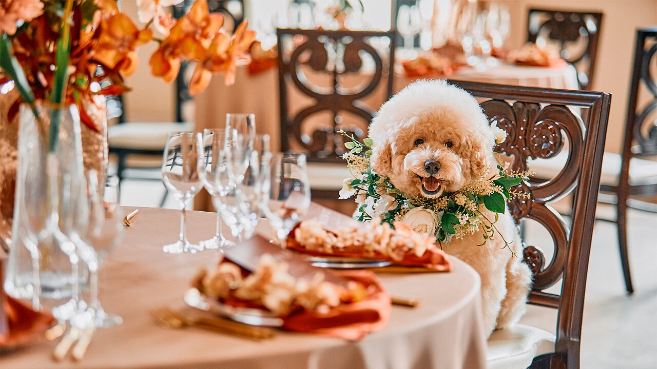 ニーズ柏 by T&G WEDDING（旧 アーセンティア迎賓館 柏）のおすすめスタイルの写真3-3