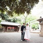 乃木神社・乃木會館：緑豊かで歴史ある神社の佇まいが、ふたりの心をとらえた。親身な対応を受けて、憧れの神前式を叶えることに