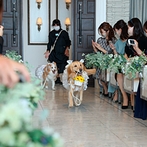コットンハーバークラブ　横浜：オーシャンビューの明るいチャペルで挙式。愛犬も結婚式に参加でき、一緒に撮った写真は一生の宝物になった