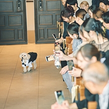 コットンハーバークラブ　横浜:体験者の写真